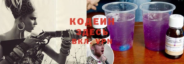 амф Пересвет