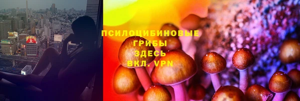 каннабис Алексеевка