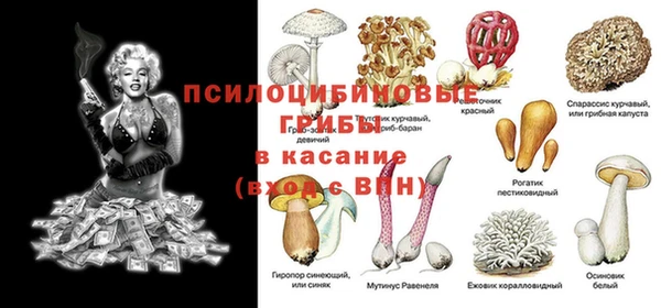 mix Пестово