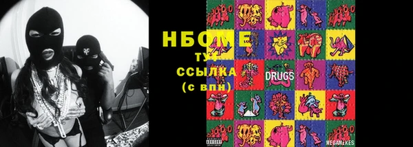 прущие грибы Покачи