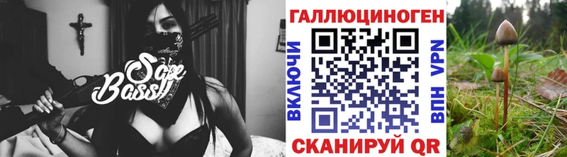Псилоцибиновые грибы мухоморы  купить наркотик  Мензелинск 